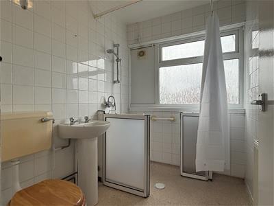 Picture 7